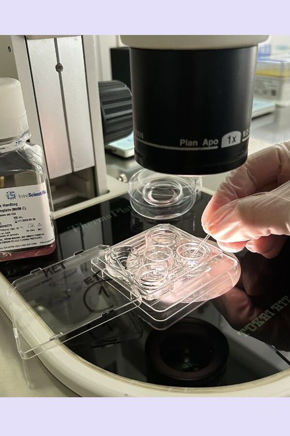Embryotransfer