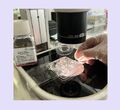 Embryotransfer