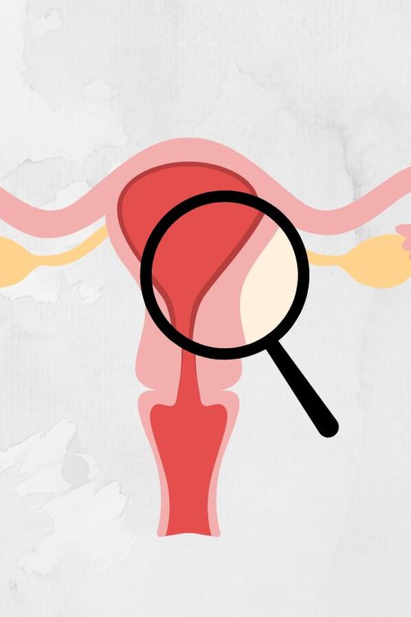 Testy růstu a kvality endometria