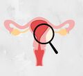 Testy růstu a kvality endometria