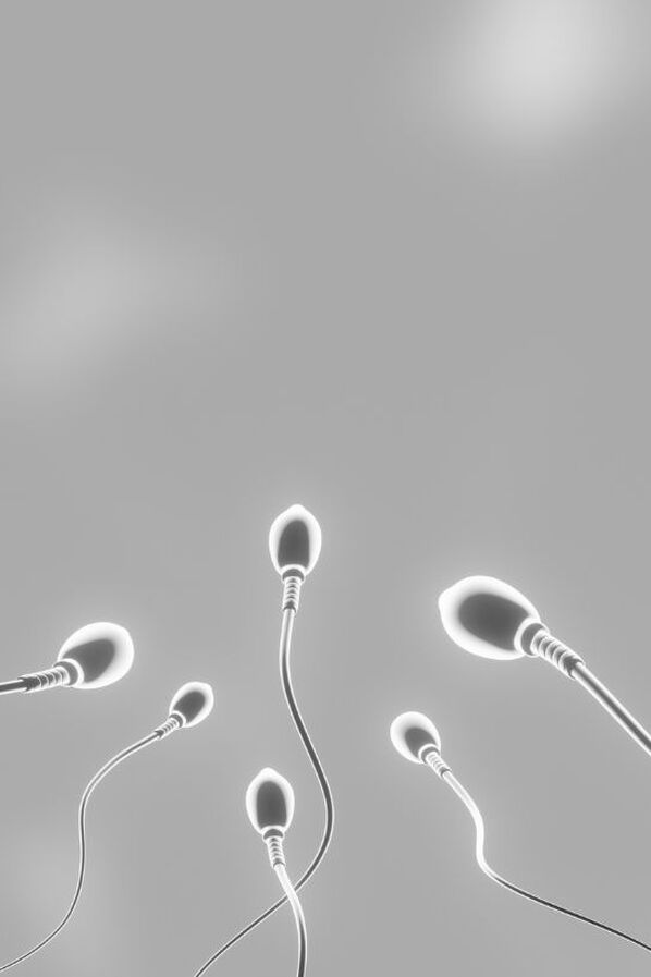 IUI (intrauterinní inseminace)