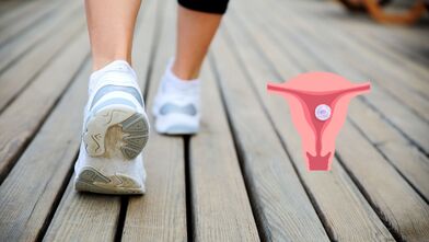 Pohyb bezprostředně po transferu embrya