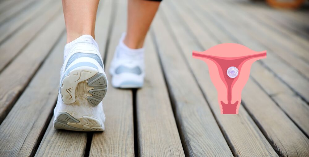 Pohyb bezprostředně po transferu embrya